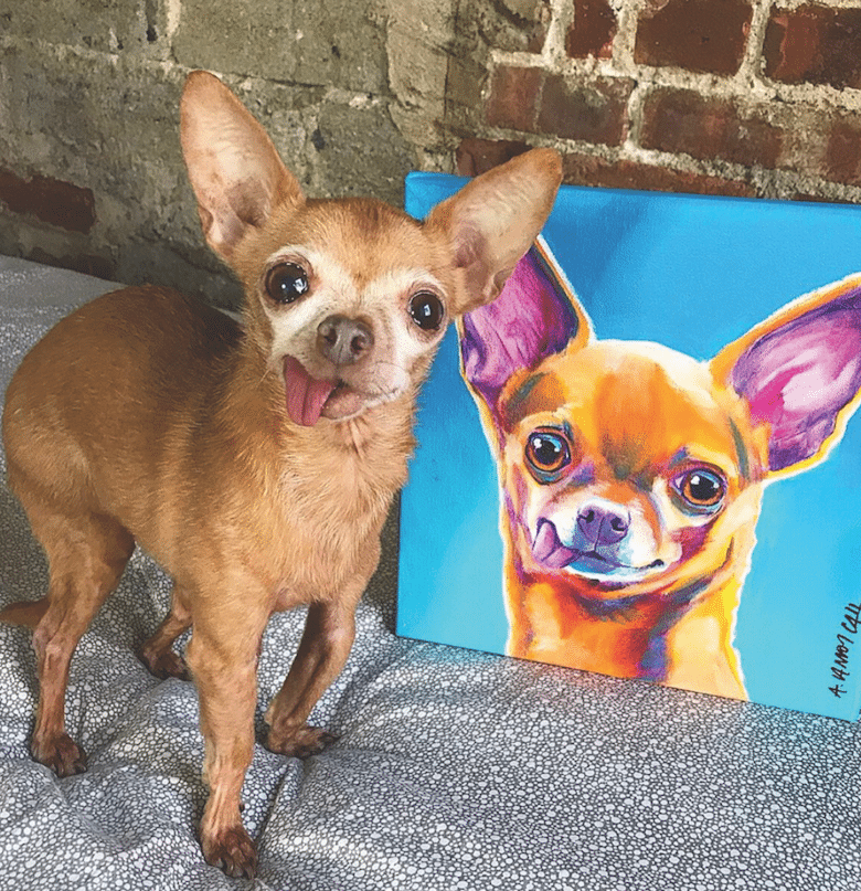 Instagram Dogs with a Cause Dogster