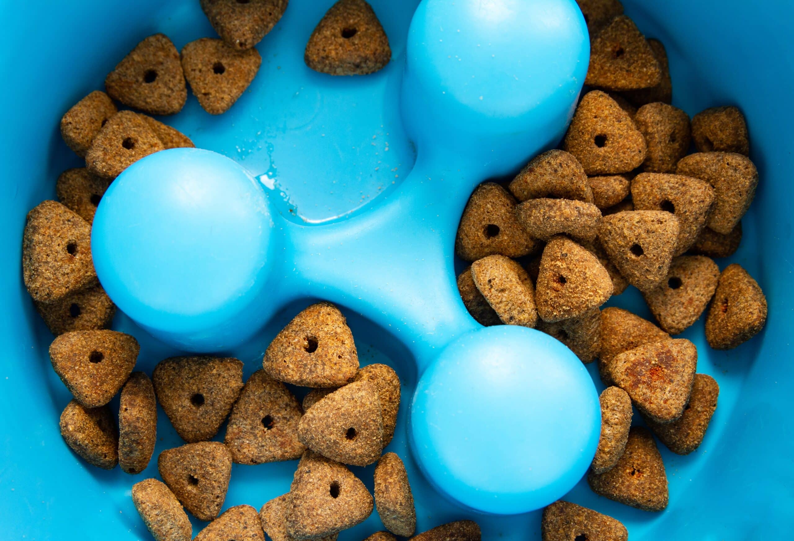 Slow Feeder Dog Bowls Benefits & Risks Explained Dogster