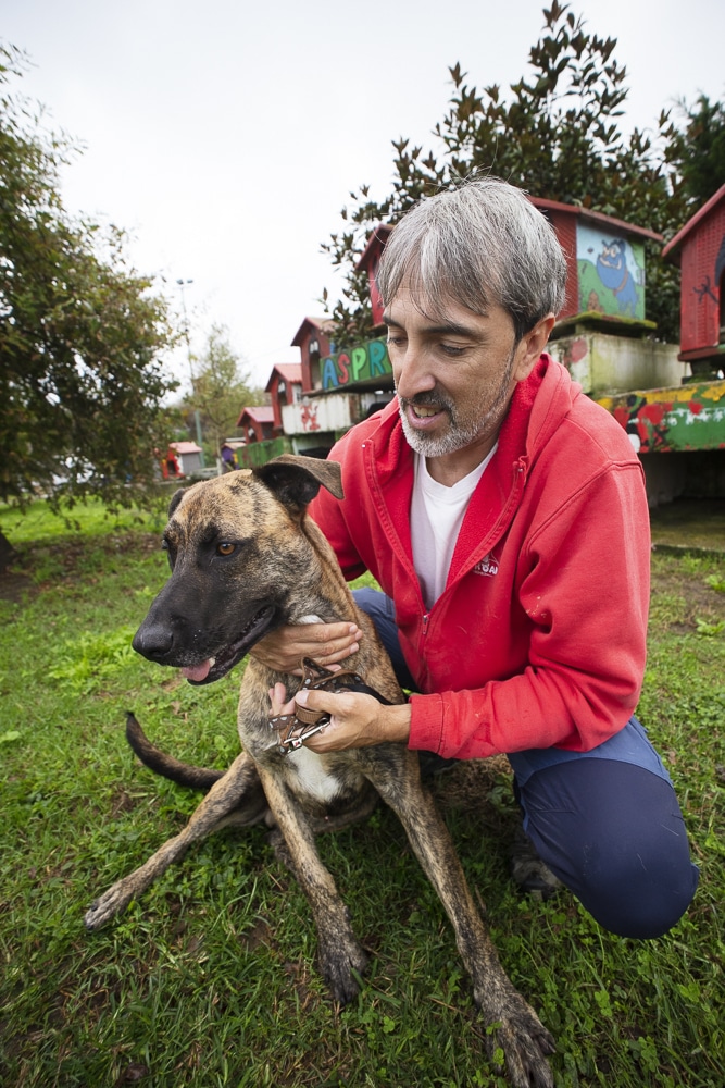 Success Story A Rescue Shelter for Aggressive Dogs Dogster
