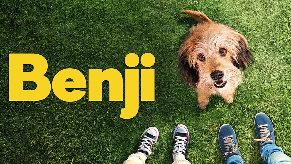 What Breed of Dog Is Benji? Famous Movie Character Facts Dogster