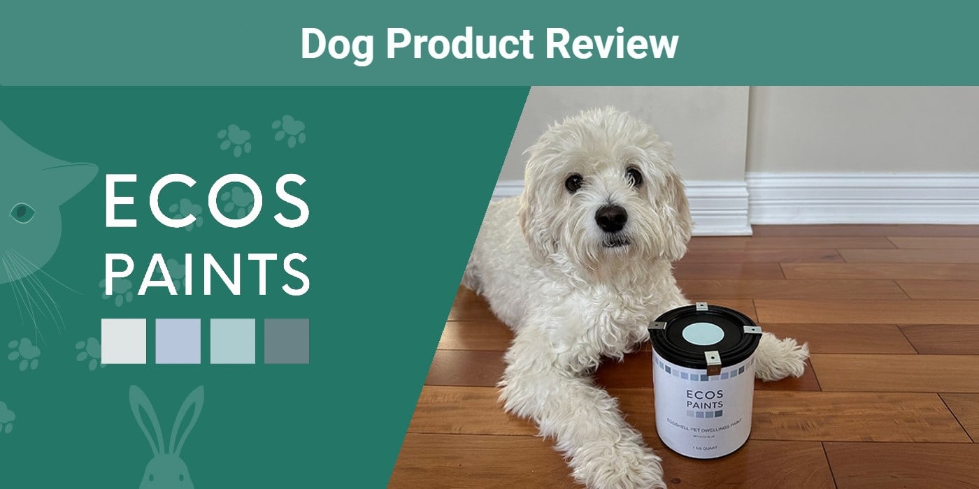 ECOS PetFriendly Paint Review 2024 An Expert's Breakdown Dogster