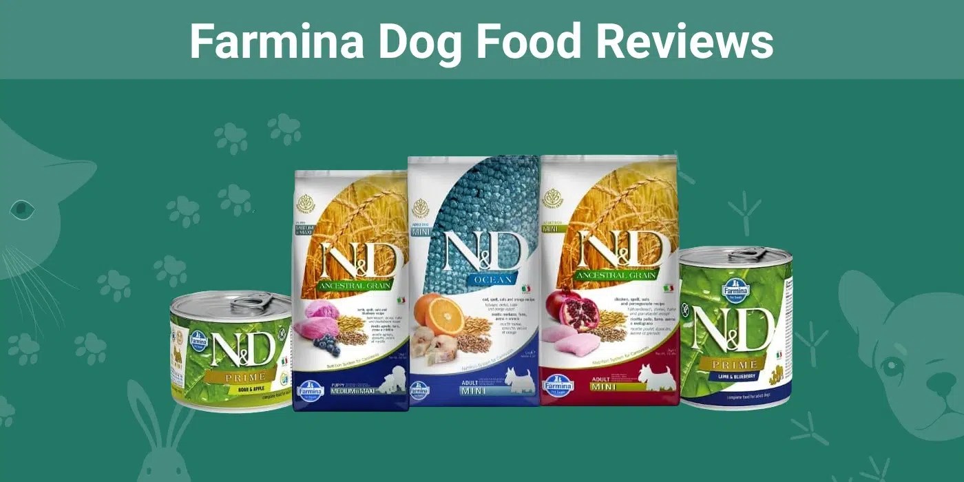 Farmina Dog Food Review 2024 Pros, Cons, Recalls & FAQ (VetApproved