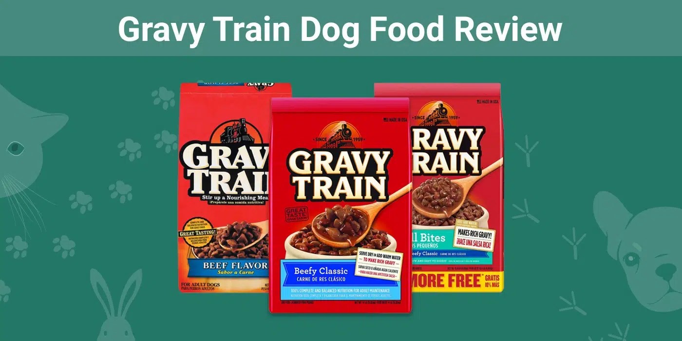 Gravy Train Dog Food Review 2024 Recalls, Pros & Cons Dogster