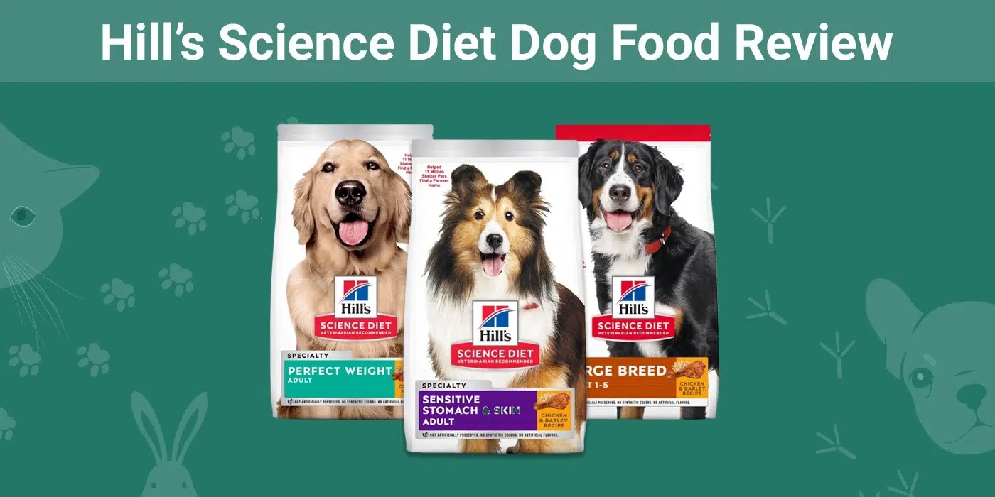 Science Diet Dog Food Recall 2024 Harrie Quentin