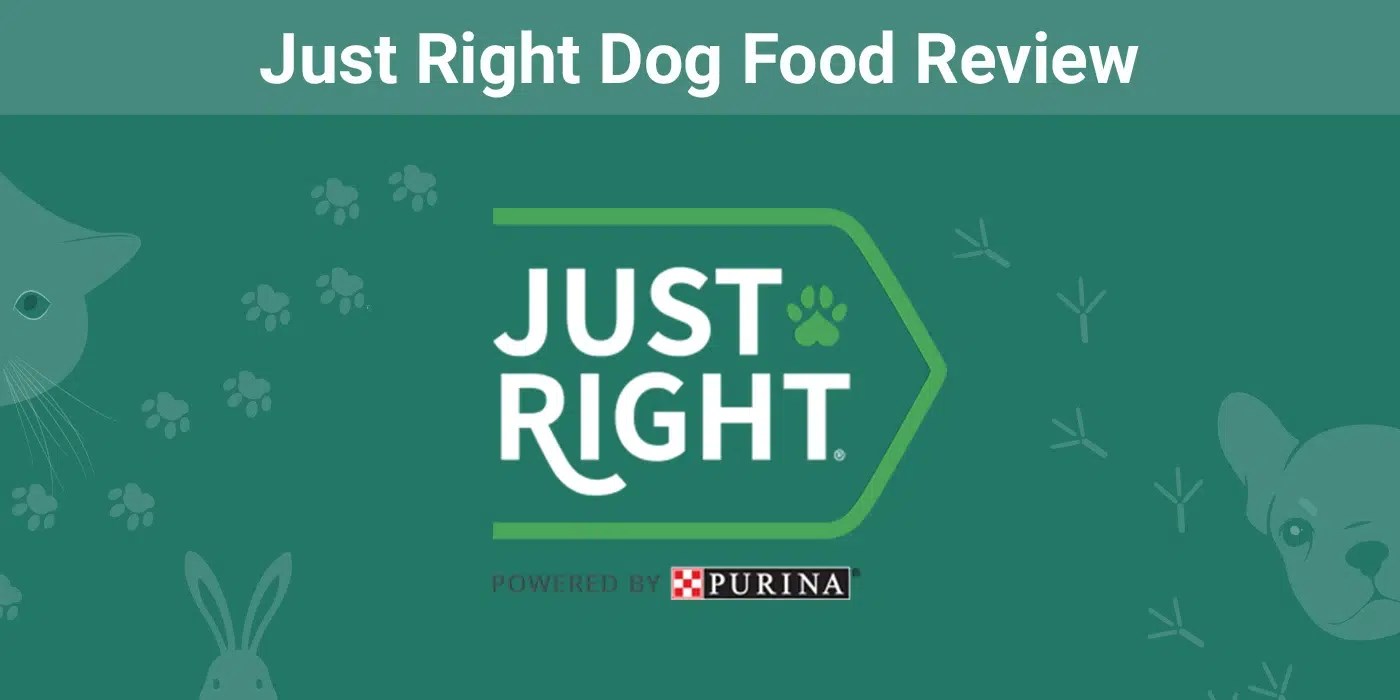 Just Right Dog Food Review 2024 Pros, Cons, Recalls & FAQ Dogster