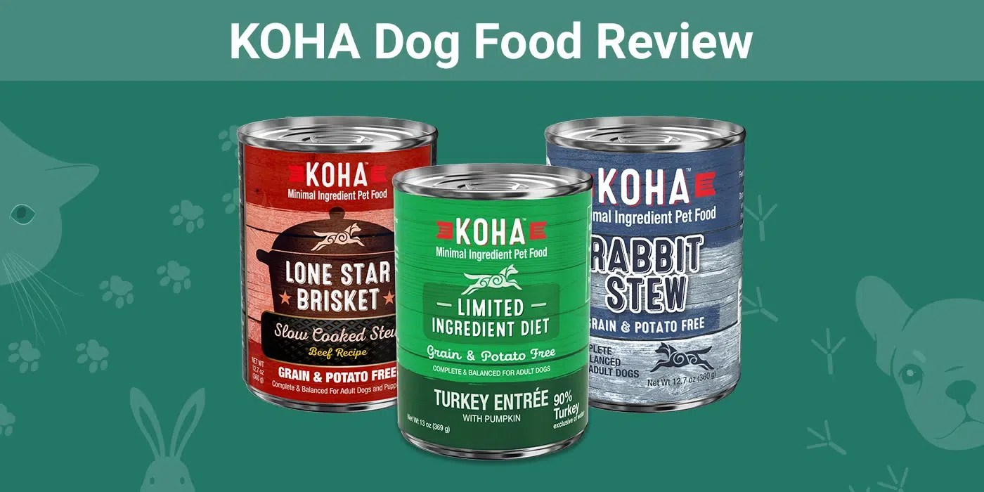 KOHA Dog Food Review 2024 Pros, Cons & Recalls Dogster