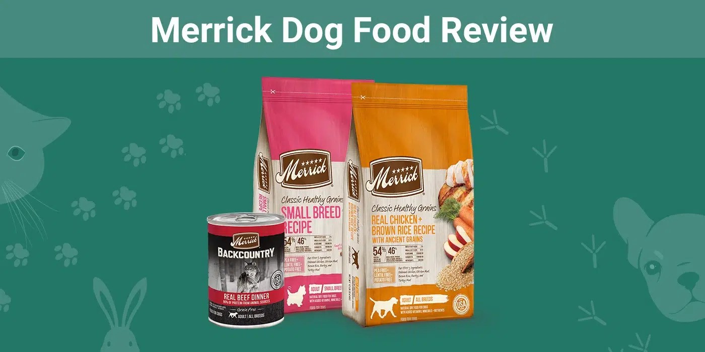 Merrick Dog Food Review 2024 Recalls, Pros & Cons Dogster