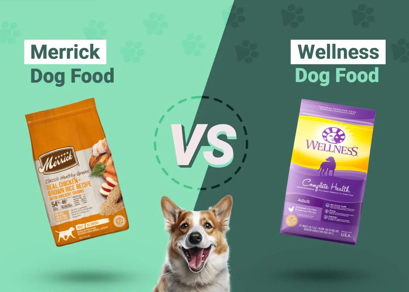 Merrick vs. Wellness Dog Food Our 2024 InDepth Comparison Dogster