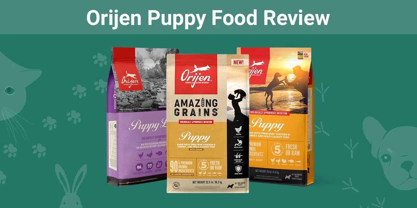 Orijen Puppy Food Review 2024 Pros, Cons, Recalls, and FAQ Dogster