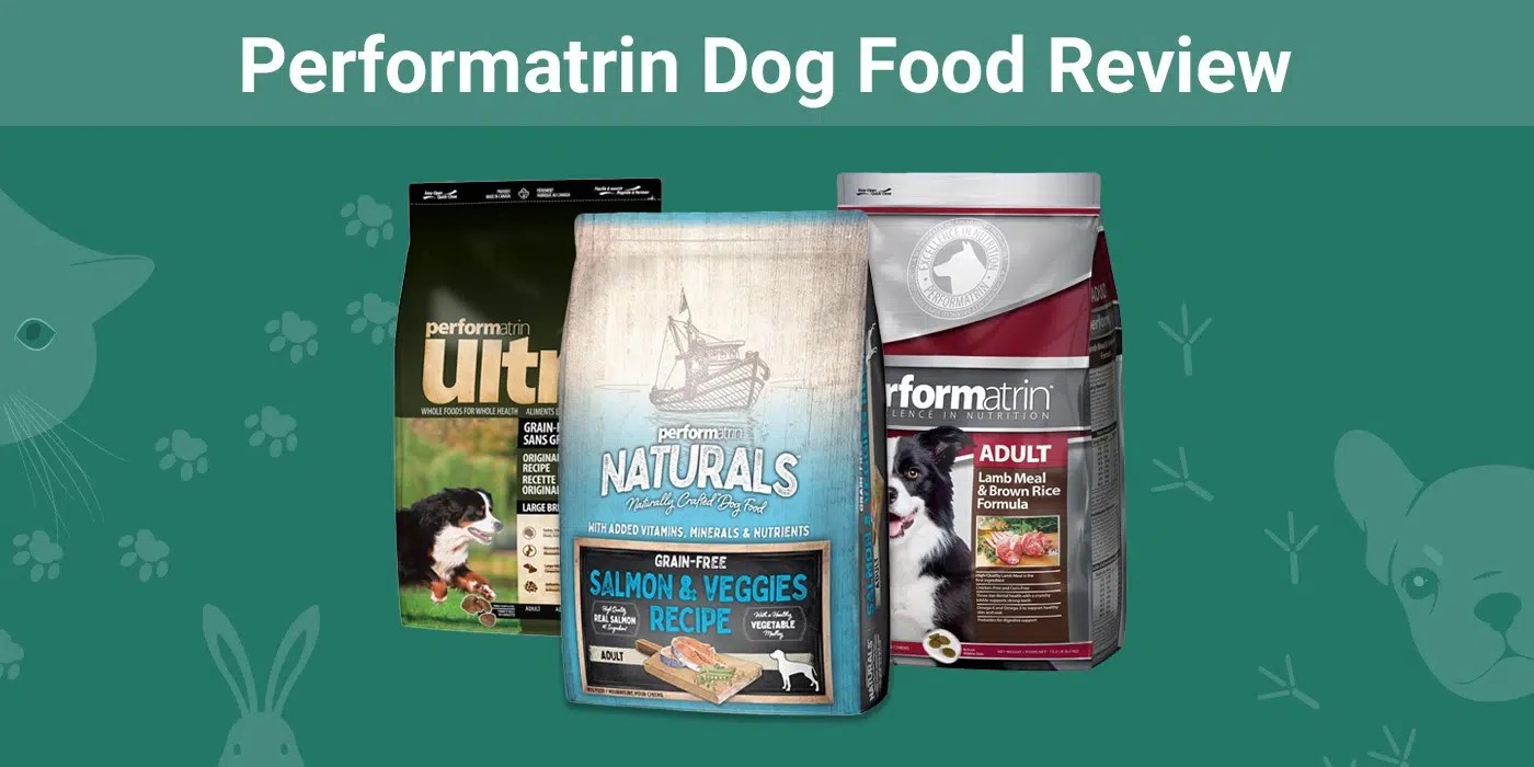 Performatrin Dog Food Review 2024 Recalls, Pros & Cons Dogster