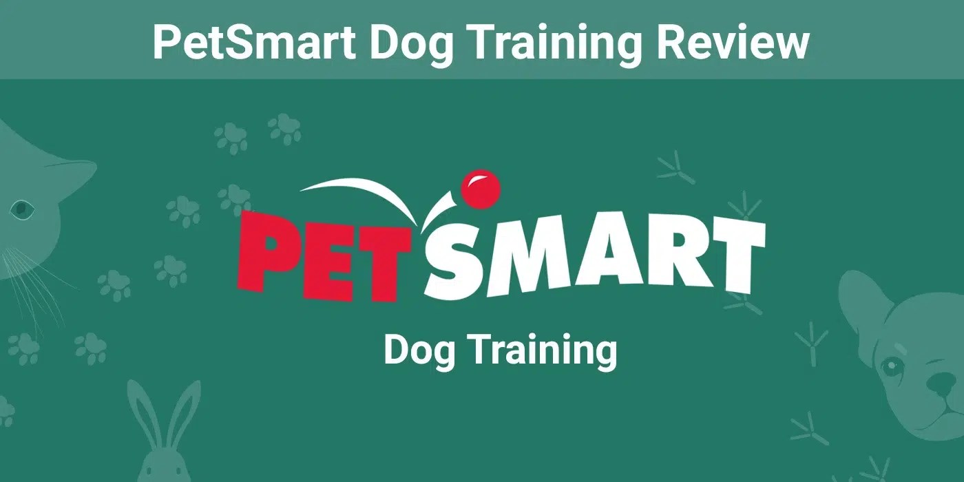 PetSmart Dog Training Review 2024 Costs, Effectiveness, and FAQs Dogster