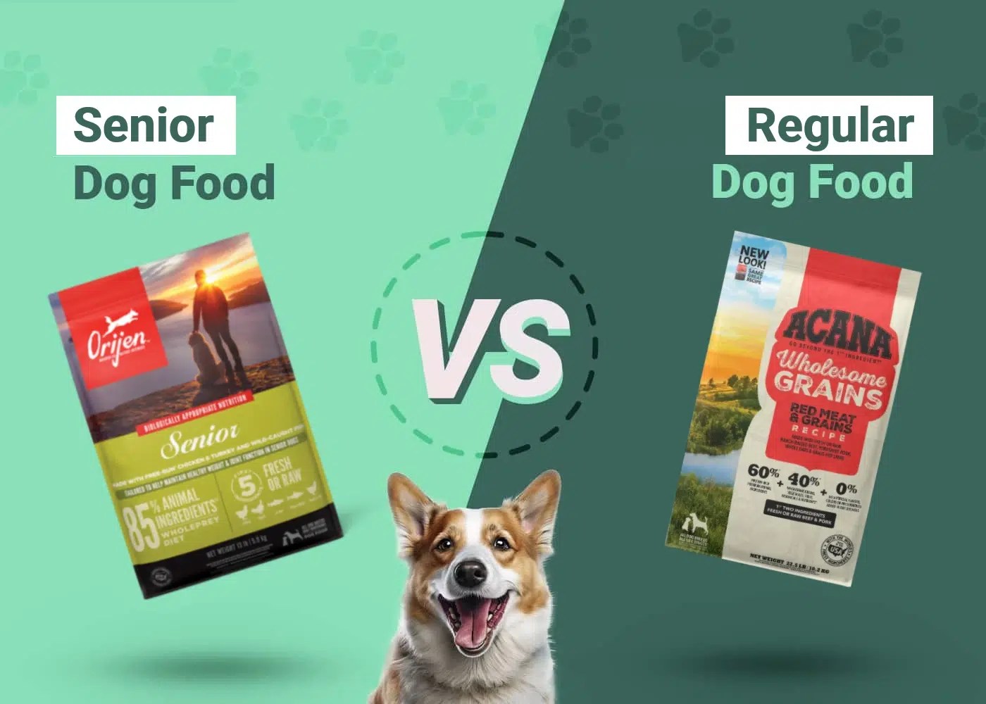 Senior Dog Food vs Regular The Differences, Pros & Cons Dogster