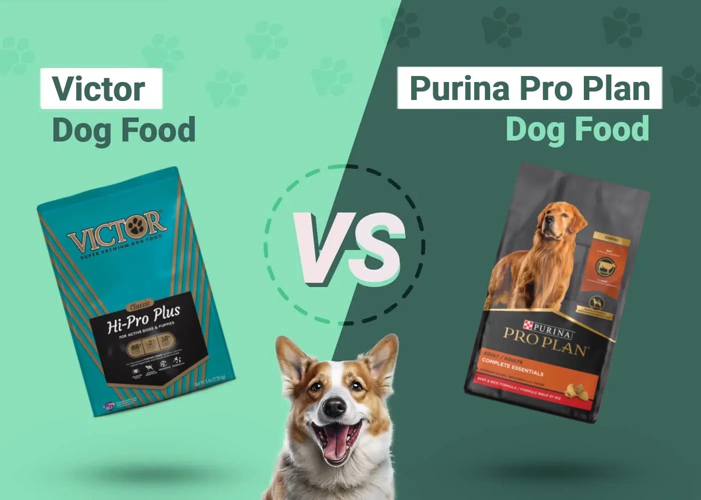 Victor Dog Food vs Purina Pro Plan 2024 Comparison, Pros & Cons Dogster