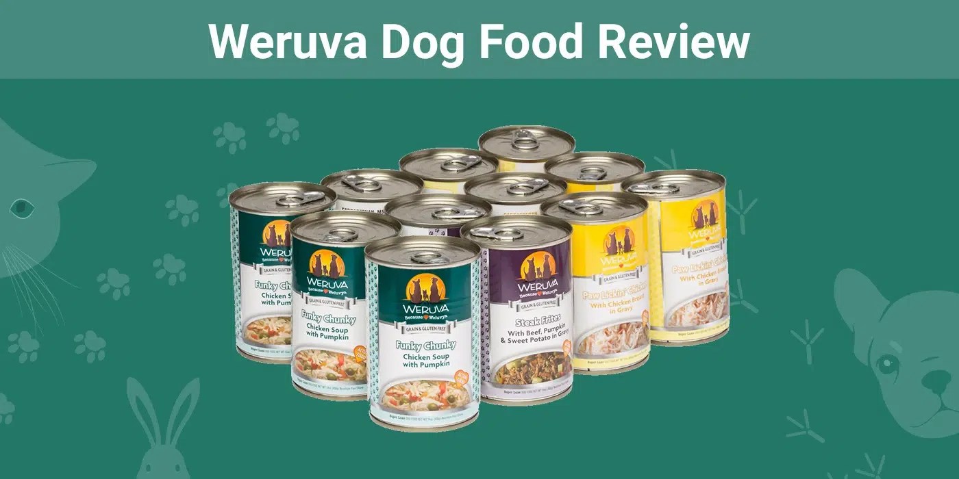 Weruva Dog Food Review 2024 Pros, Cons, Recalls, and Guide Dogster