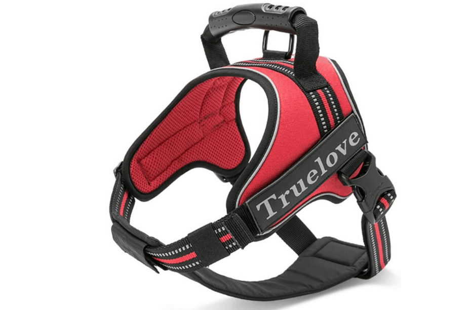 Truelove Dog Harness Top 8 Full Reviews 2020 Dogs Travel Guide