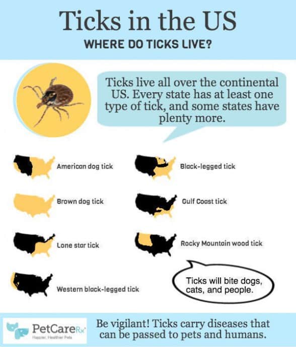 Got Ticks? Check the State by State Breakdown of Tick Species