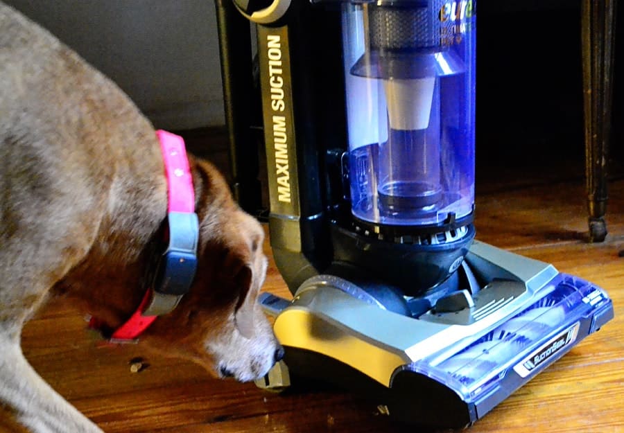 Review Eureka Ultimate Clean Pet Vacuum Cleaner