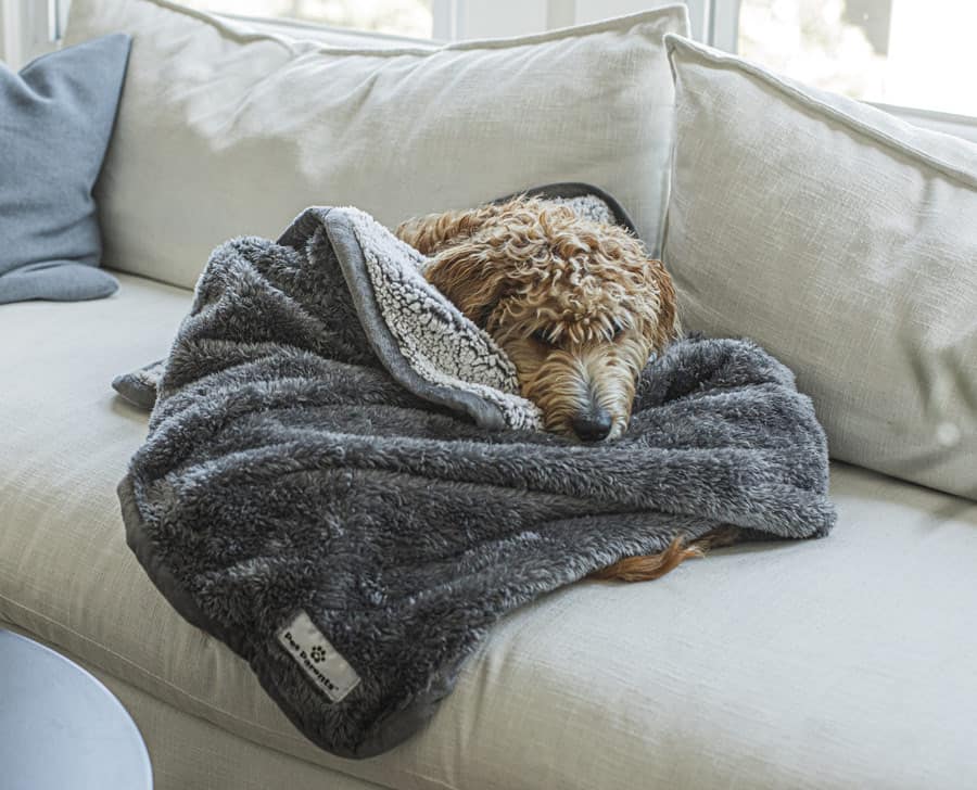 10 Reasons You Need a Waterproof Blanket Pet Voice
