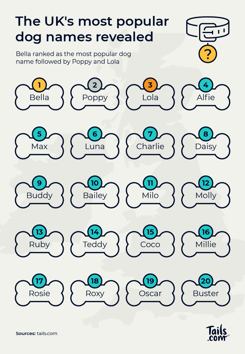 What Are the Most Popular Dog Names?