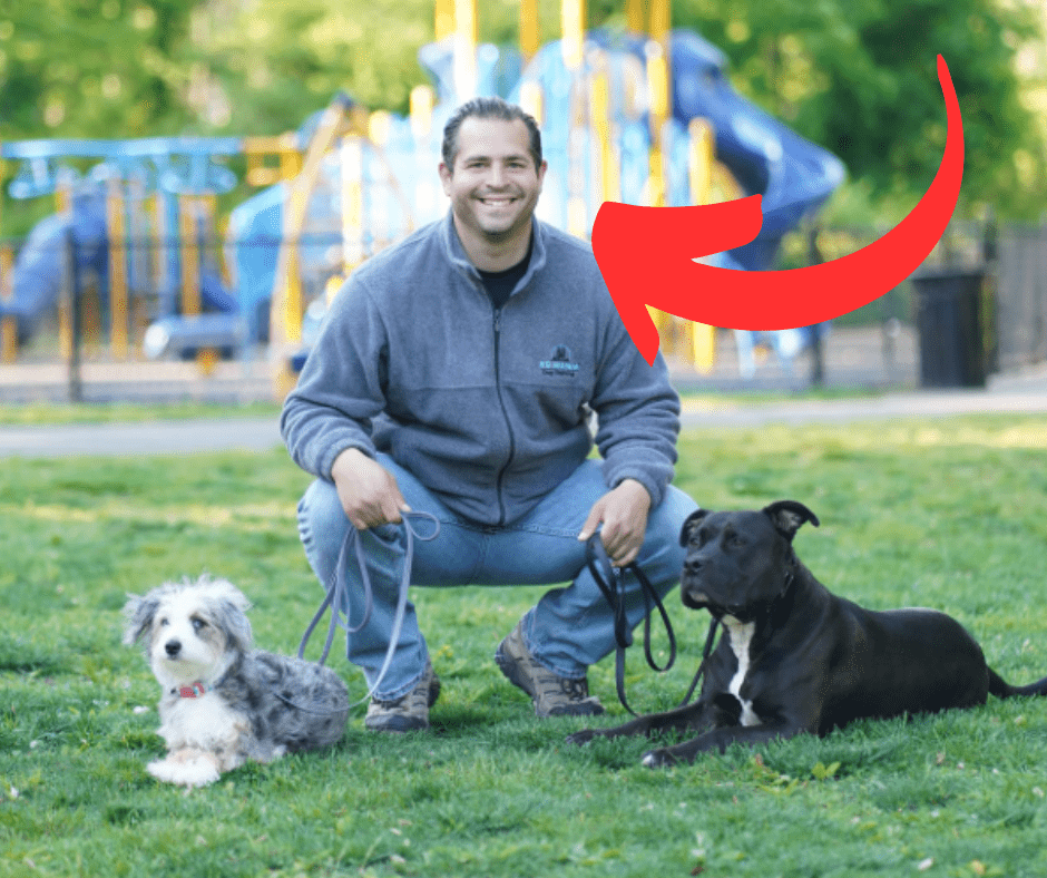 Get A Virtual Assistant For Your Dog Training Business