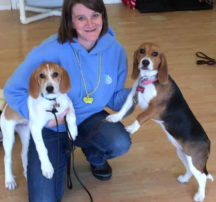 Meet Trainer Amy Dog Training Now