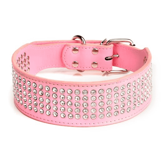 Best Dog Collars for Large Dogs DogVills