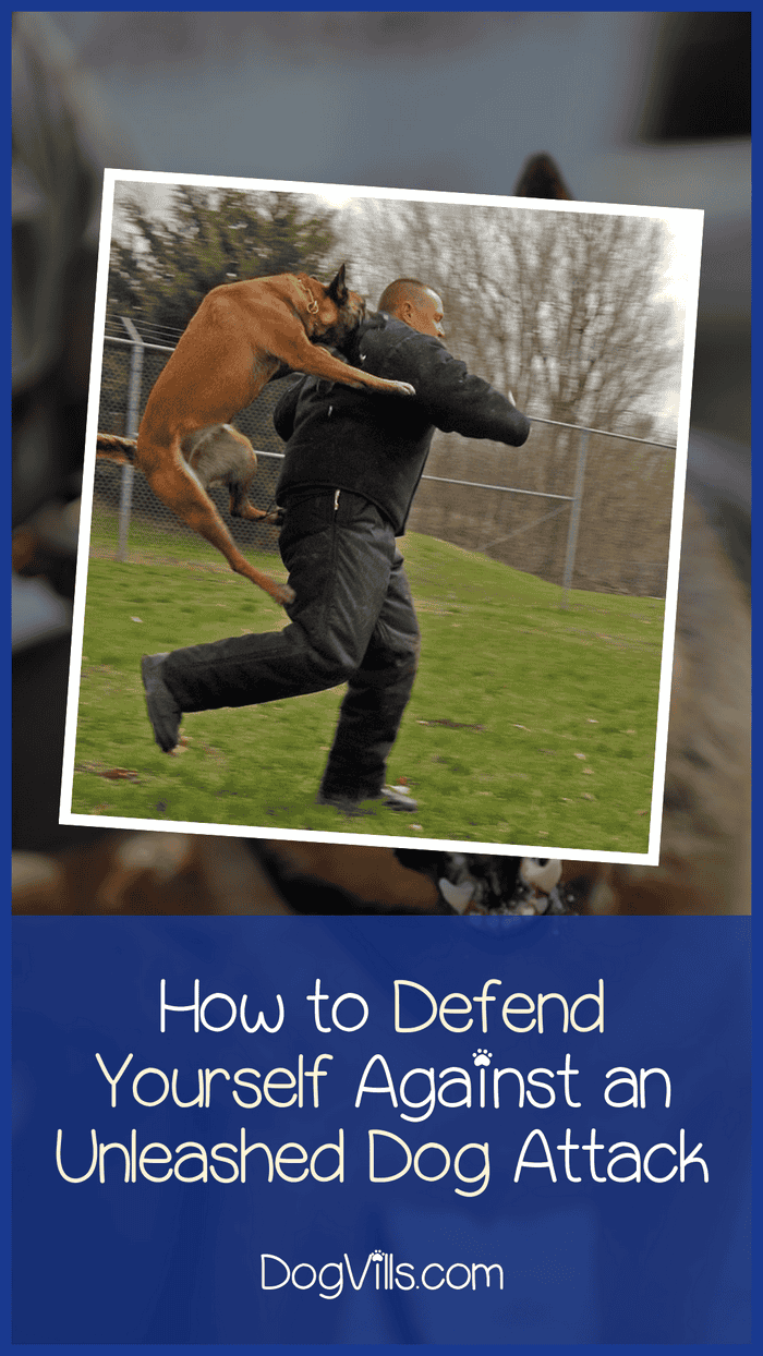 How to Defend Yourself Against an Unleashed Charging Dog
