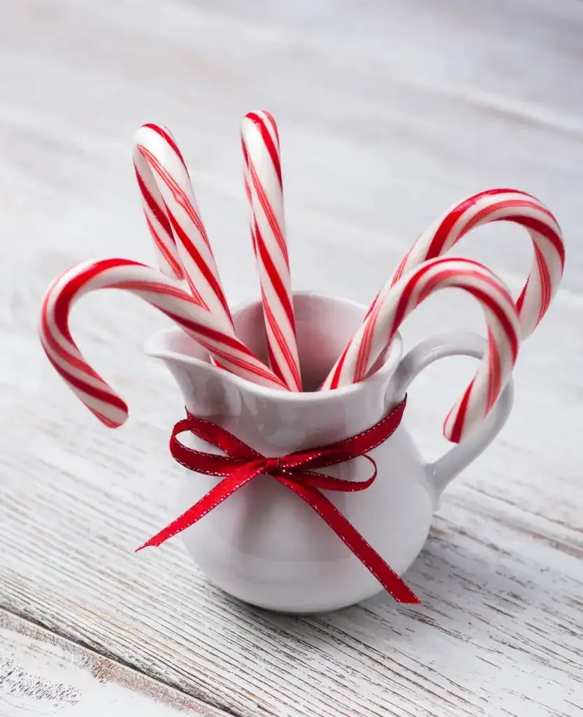 Can Canine Eat Peppermint? A Complete Information