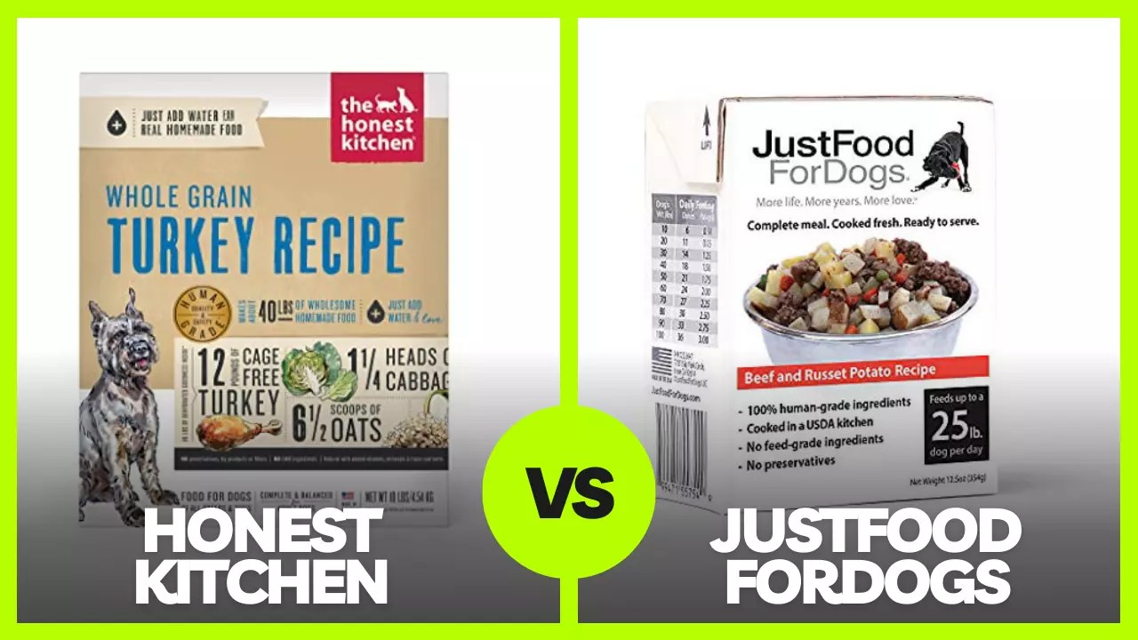 JustFoodForDogs Vs Honest Kitchen Review In 2023