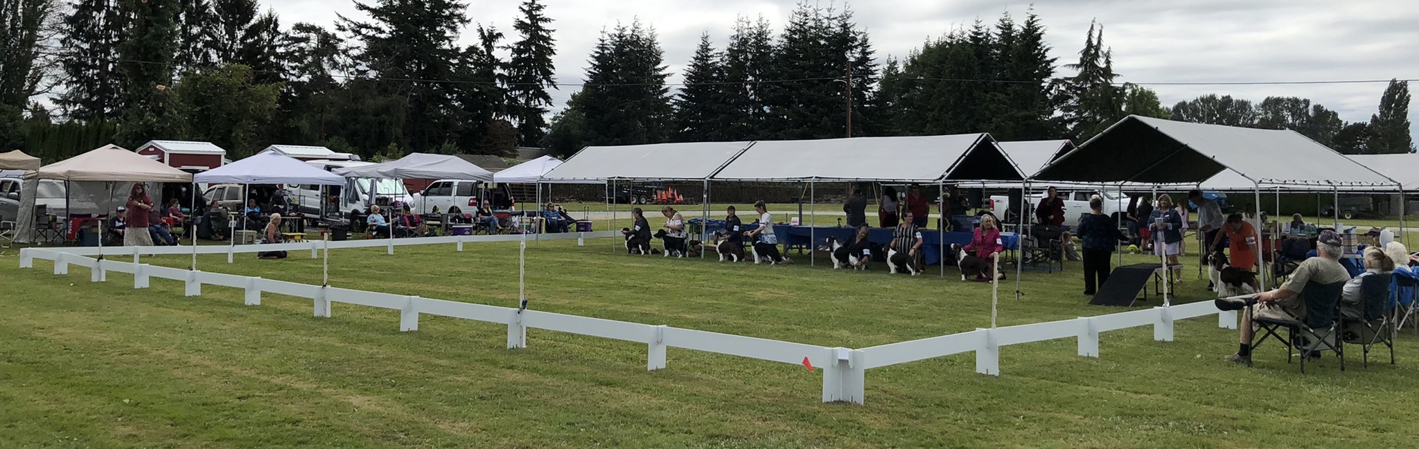 JA Design Dog Show Ring Dogzibit