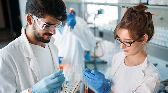 Selecting a Premed Undergraduate Program Doing College