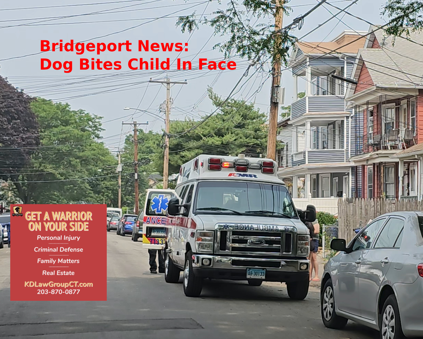 Bridgeport News Dog Bites Child In the Face
