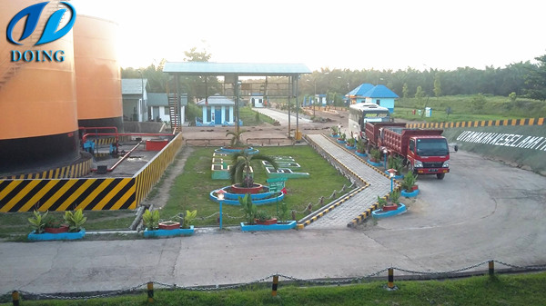 Palm oil processing process from harvest to refinery