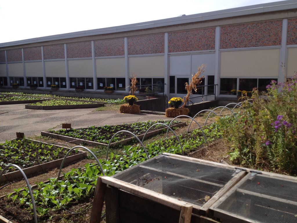 Orangeville District School