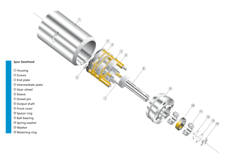 Gear Motors vs. Spur Gear Motors