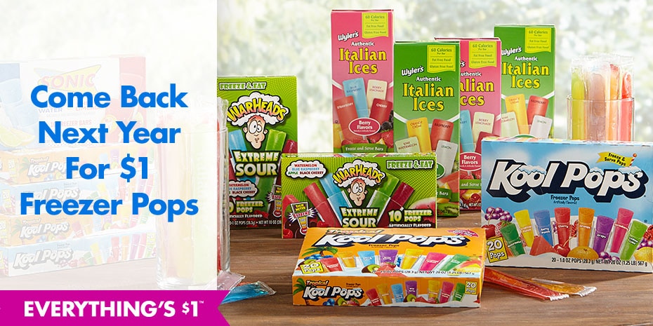 Minute Maid Soft Frozen Lemonade Dollar Tree Crafts DIY and Ideas Blog