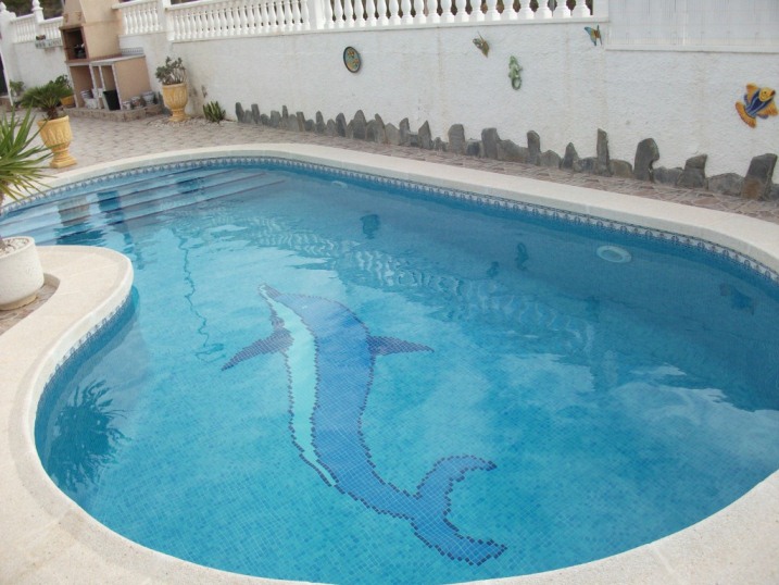 Dolfhin Pool Service