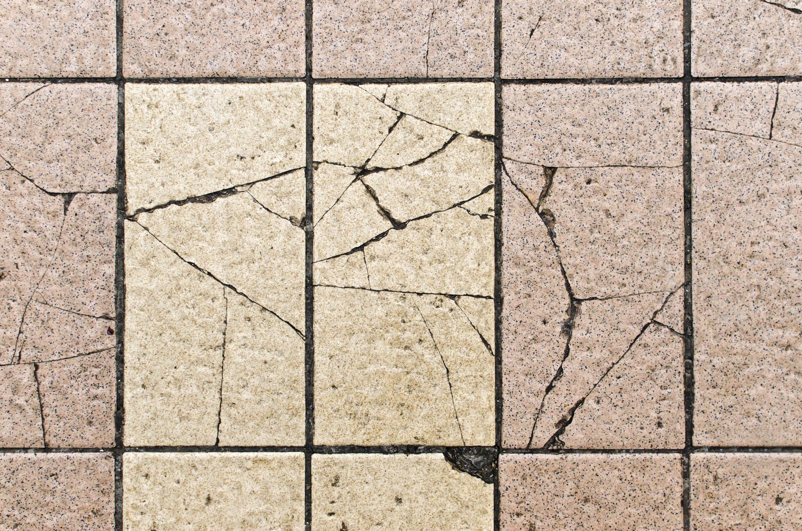 4 Ways to Protect Tile from Damage in South Florida Dolphin Carpet