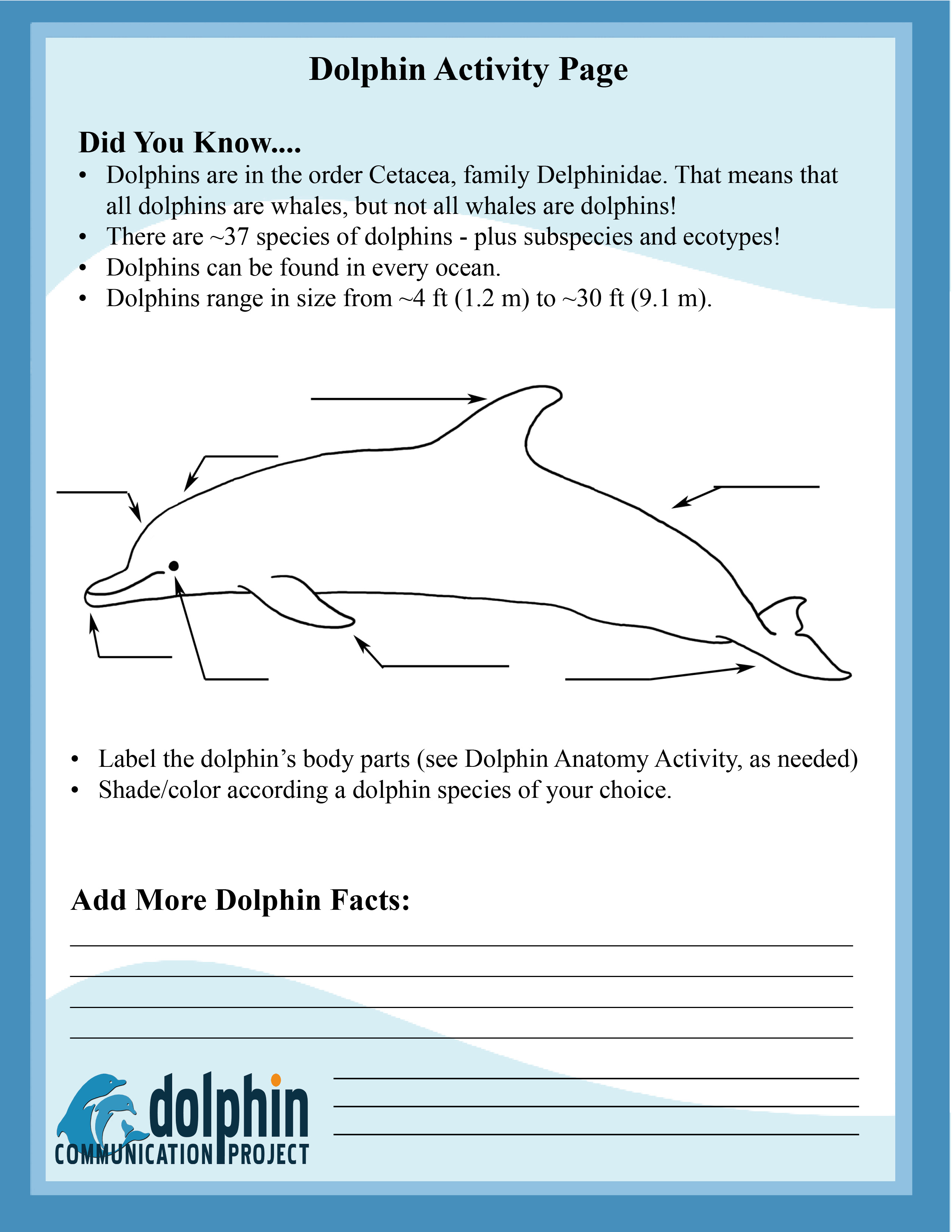 New Dolphin Activity Page Dolphin Communication Project