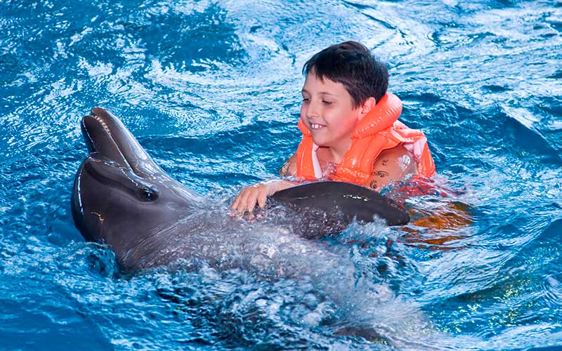 Dolphin Assisted Therapy Dolphins World