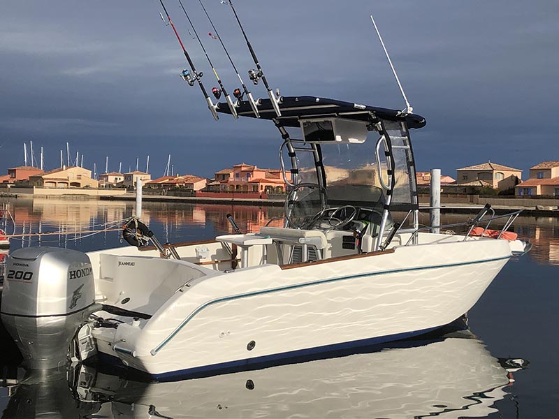 Customer Gallery dolphin T Top