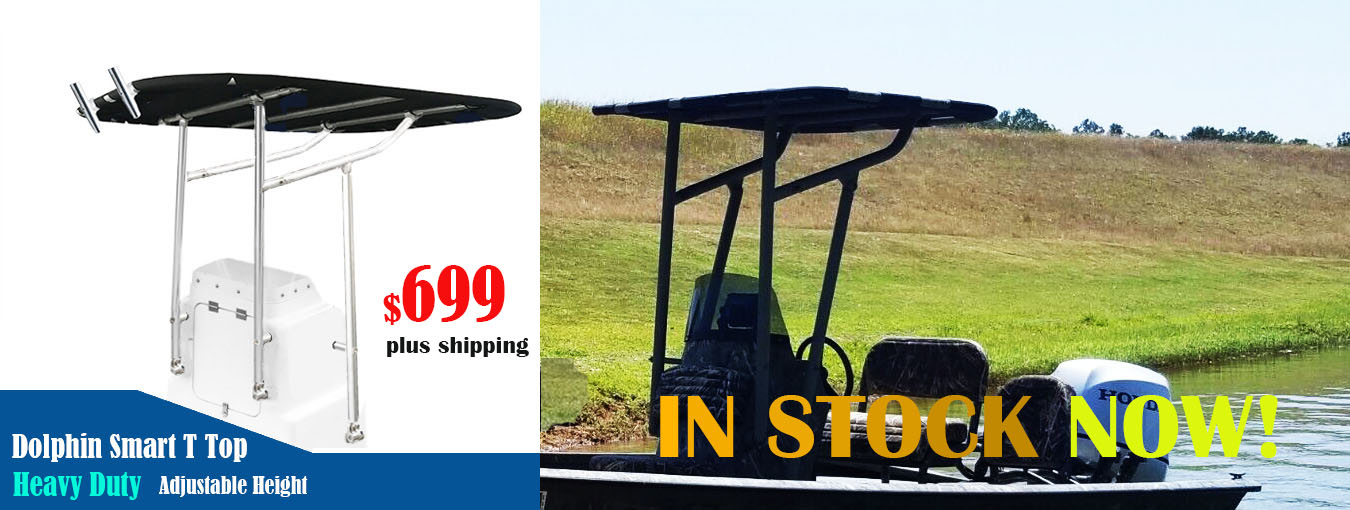 Boat T Top dolphin T Top