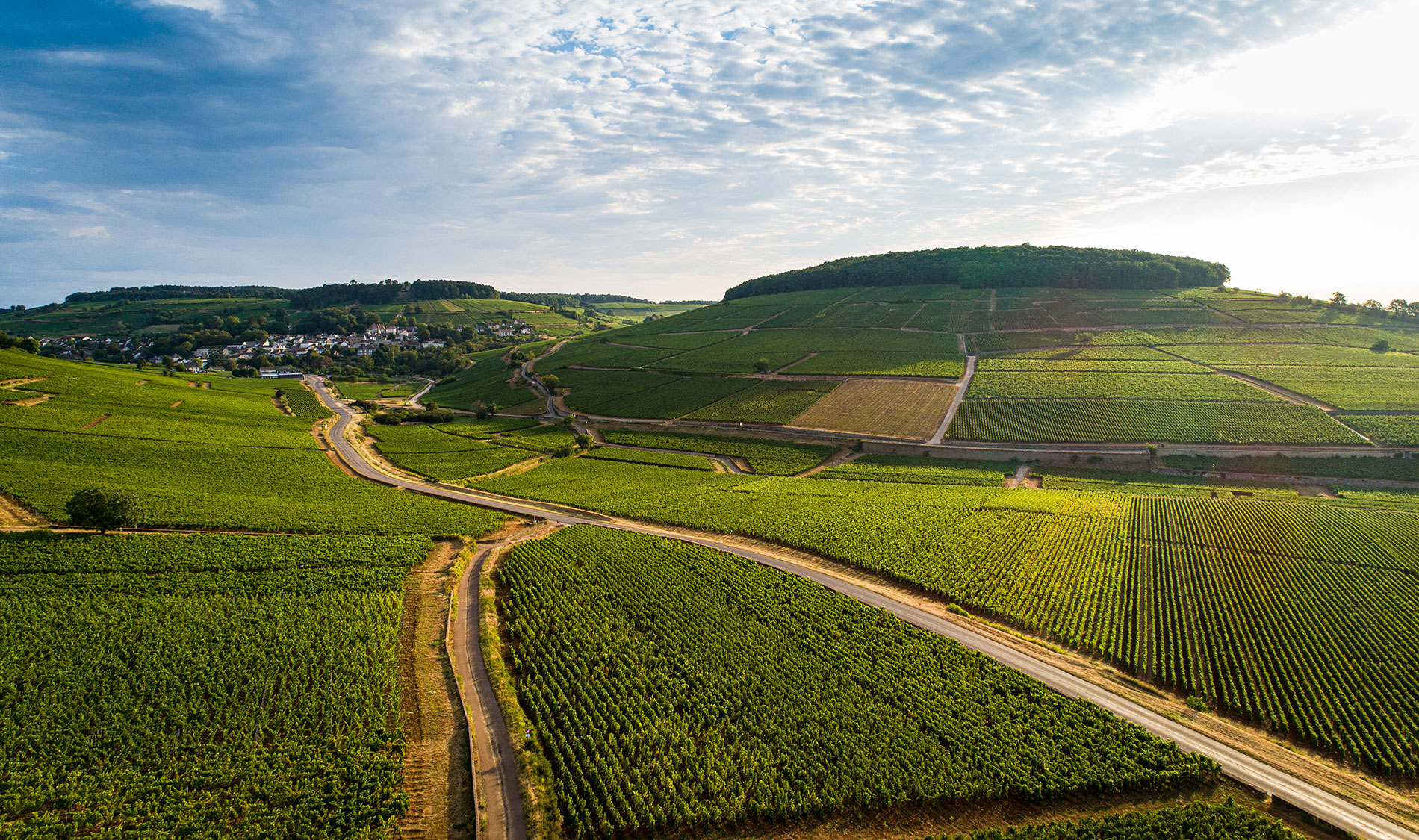 Médias Domaine Françoise André