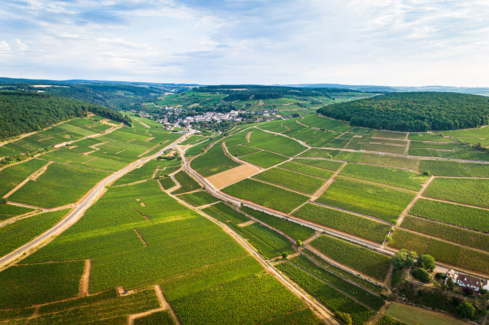 Médias Domaine Françoise André