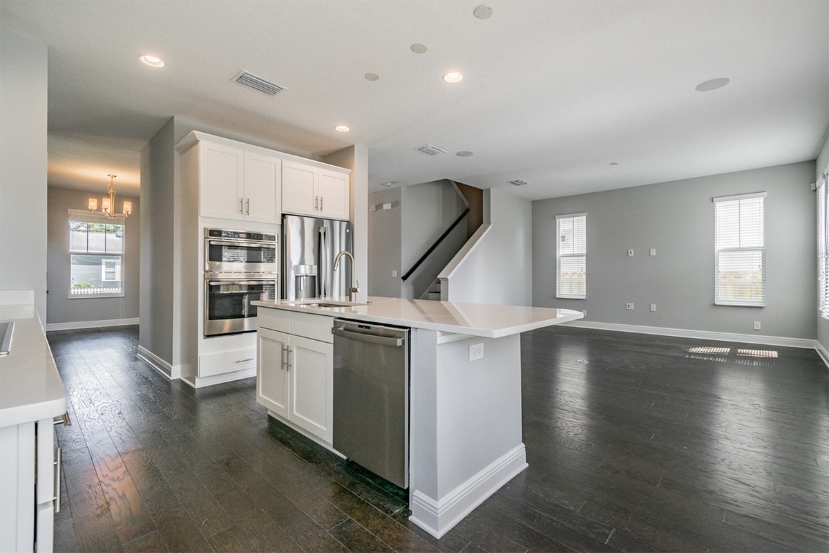 Steller's Jay Domain Homes