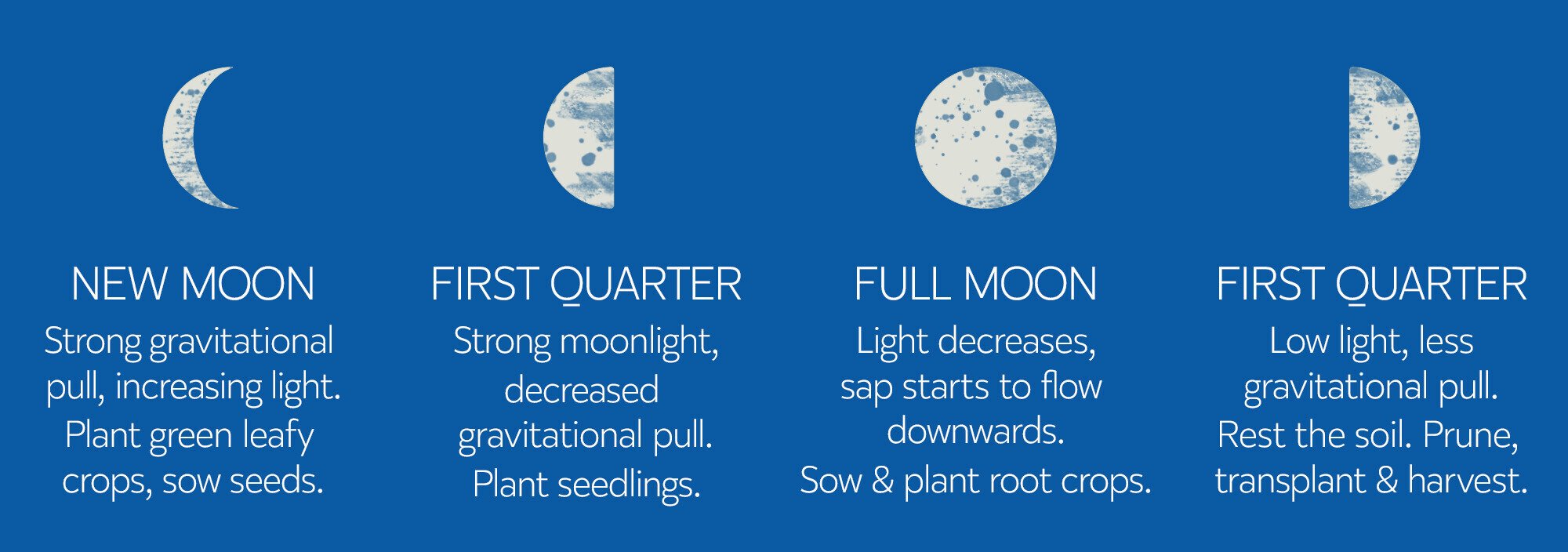 Gardening by the moon Dominator