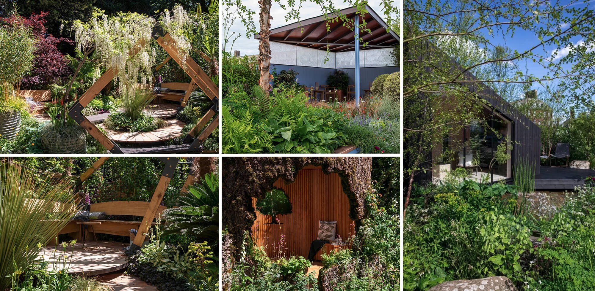 2023 Landscape Design trend forecast Dominator