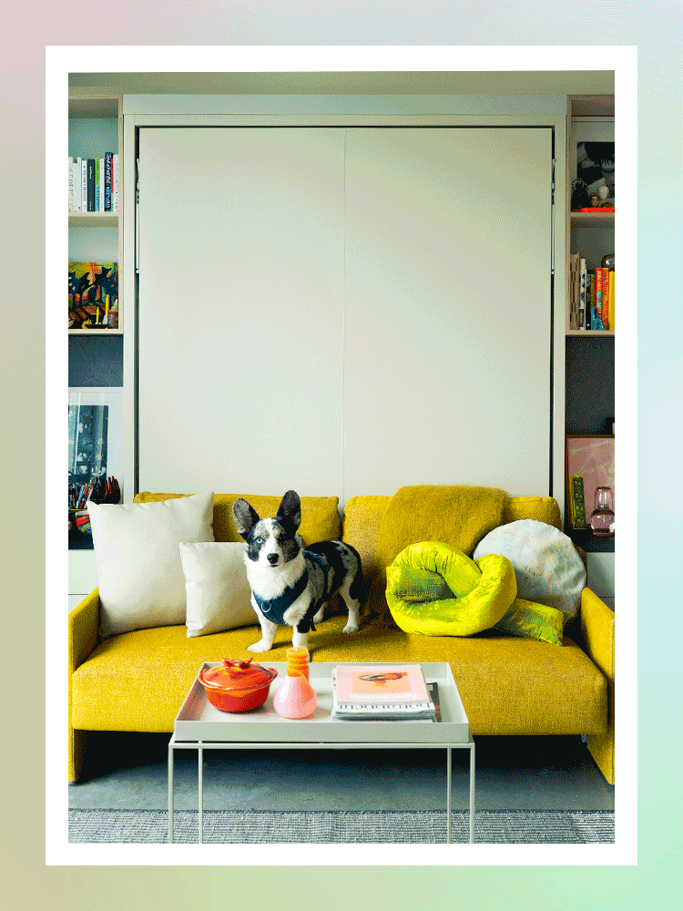 The Best Murphy Beds in 2023 domino