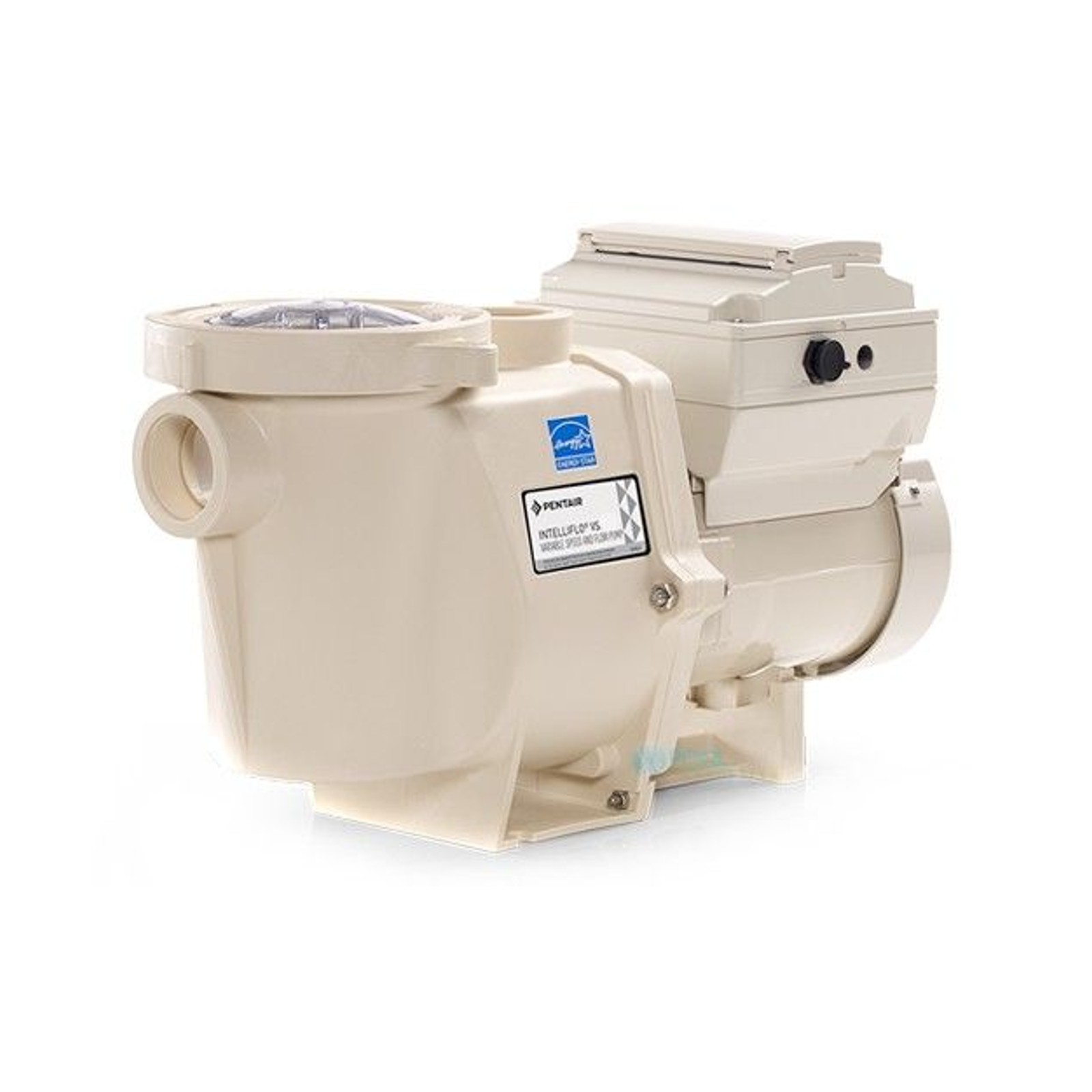 The Best Pool Pumps in 2022 domino