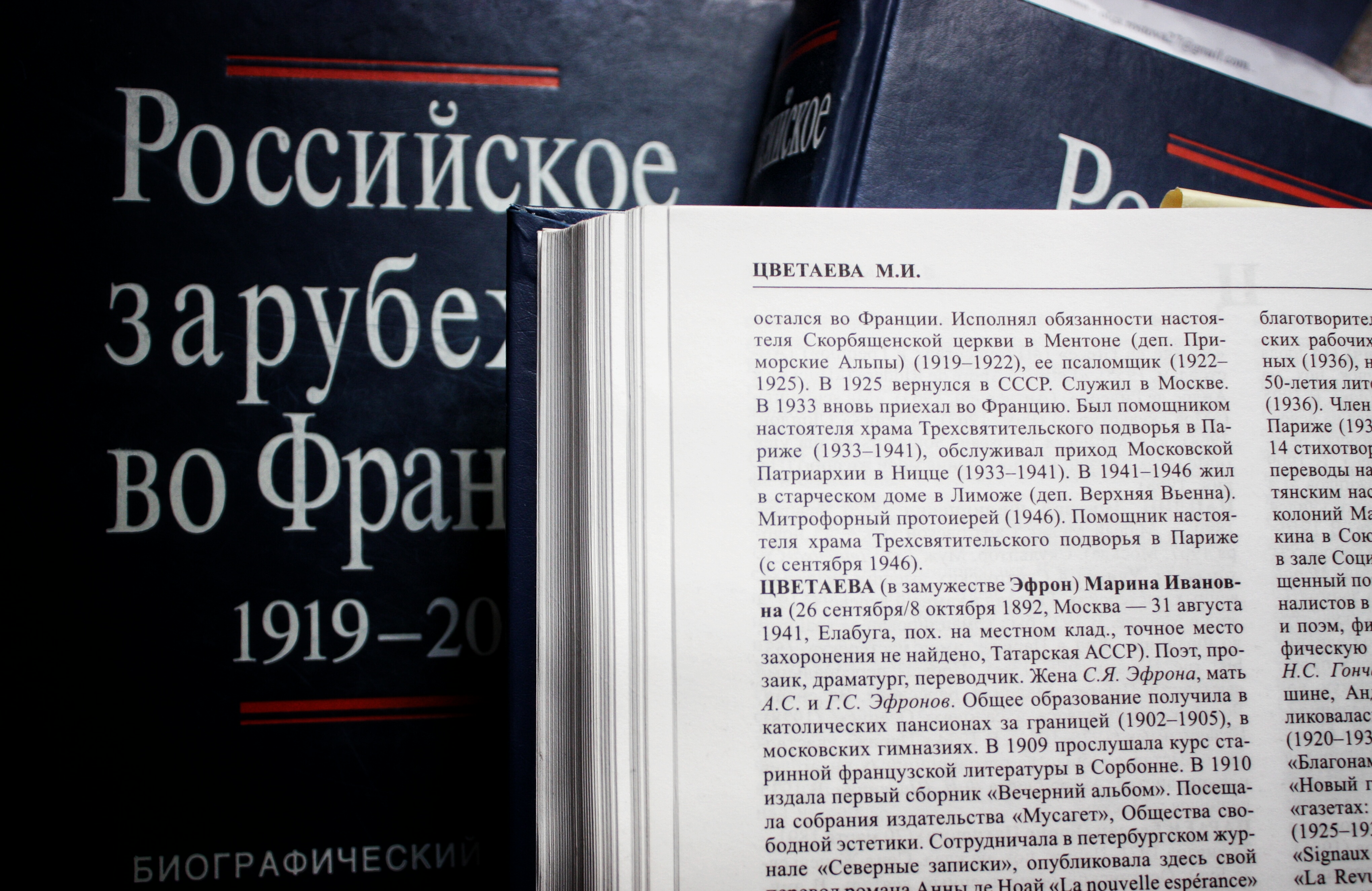 Российское зарубежье во Франции. Биографический словарь Доммузей